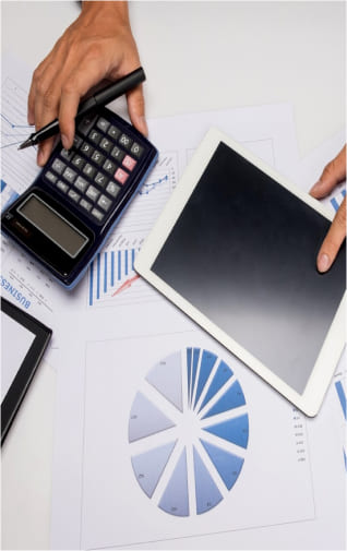 Professional ledger services to maintain precise accounts
